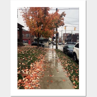 Rainy Autumn Day in Columbus, Ohio Posters and Art